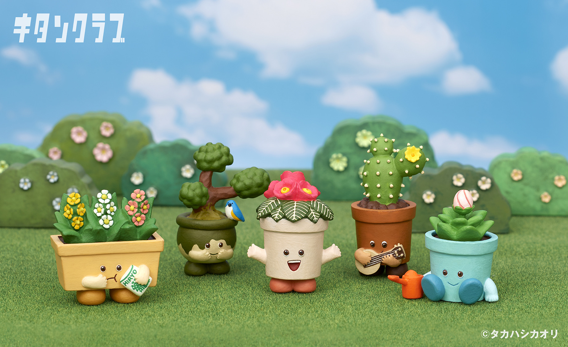 �J�v�Z���g�C����